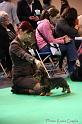 Crufts2011_2 633